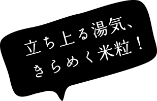 吹き出し01